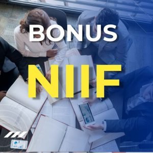 BONUS EXTRA - Normas Internacionales de Información Financiera (NIIF)
