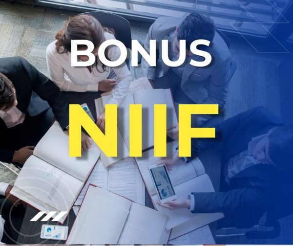 BONUS EXTRA - Normas Internacionales de Información Financiera (NIIF) 2024